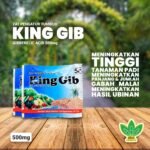 ZPT King Gib Gibberellic Acid 500mg