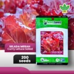 id-11134207-7r98t-lokqdcj1qzbud2
