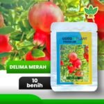 id-11134207-7r98x-lqh6ljahn50e7a